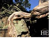 Cambodia gay tour - Ta Phrom