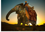 Hanns Ebensten Travel exclusively gay tour to India