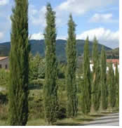 Hanns Ebensten Italy gay tour