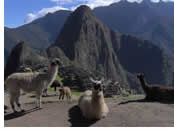 Hanns Ebensten Travel exclusively gay tour to Machu Picchu