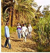 Hanns Ebensten Gay Men's Tour to Egypt