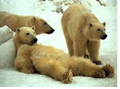 Hanns Ebensten Gay tour to Canada Far North