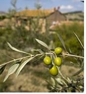 Hanns Ebensten all-gay tour to Sicily