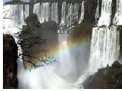 Hermes Tours Iguazu Falls Gay Tour