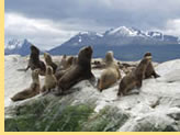Hermes Tours Patagonia gay Tour