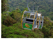 Hermes Tours Costa Rica Gay Tour, Monteverde