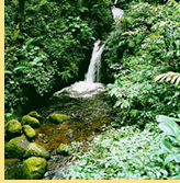 Hermes Tours Costa Rica all gay Tour