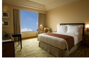 The Grand New Delhi Hotel