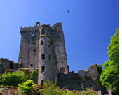 Hermes Tours Ireland Gay Tour
