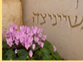 Hermes Tours Israel and Jordan gay Tour