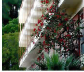 Neda Hotel, Olympia