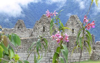 Hermes Tours Peru All Gay Tour
