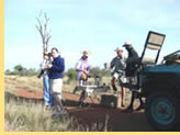 Hermes Tour South Africa Luxury Tour