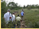 Hermes Tour South Africa Luxury Tour