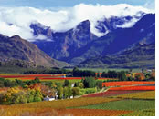Hermes Tour South Africa Luxury Tour