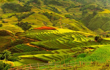Hermes Tours South East Asia Gay Tour