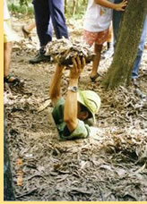 Hermes Tours South East Asia gay Tour