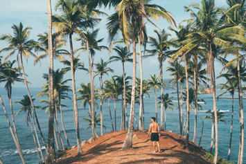 Sri Lanka gay tour - Mirissa palm hill