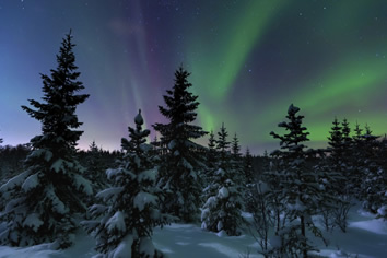 Finland gay winter holidays - Northern Lights