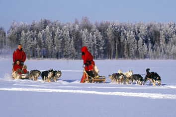 Finland gay winter days - Husky Sleigh Tour