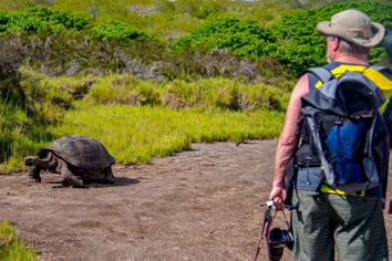 Galapagos gay cruise - tortoise
