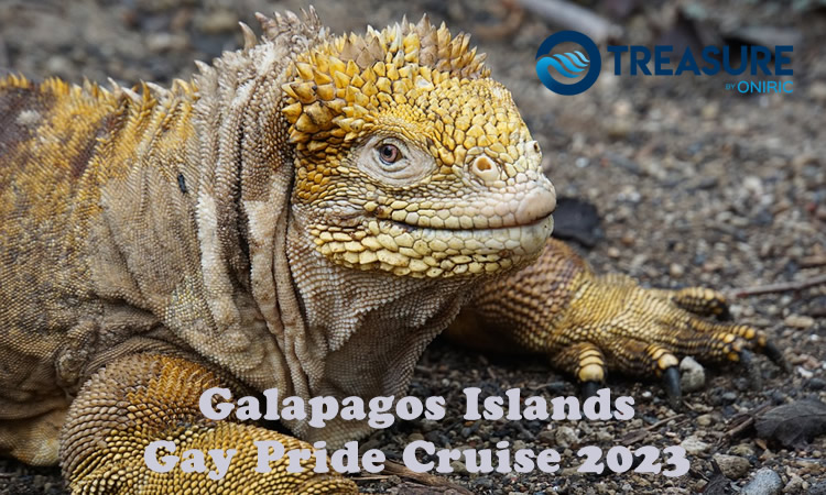Galapagos Gay Pride Cruise 2023