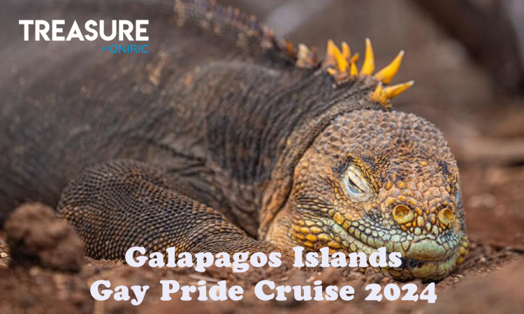 Galapagos Gay Pride Cruise 2024