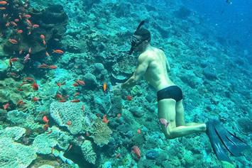 Bali gay snorkeling