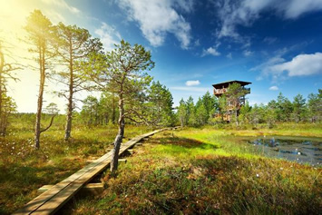 Estonia Gay Tour - Lahemaa National Park