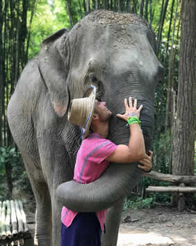 Thailand elephants gay tour