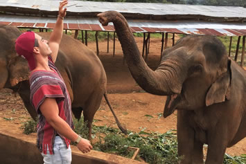 Thailand gay trip elephants