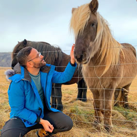 Iceland gay tour horses
