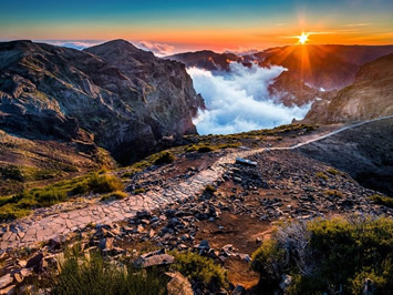 Madeira Island tour