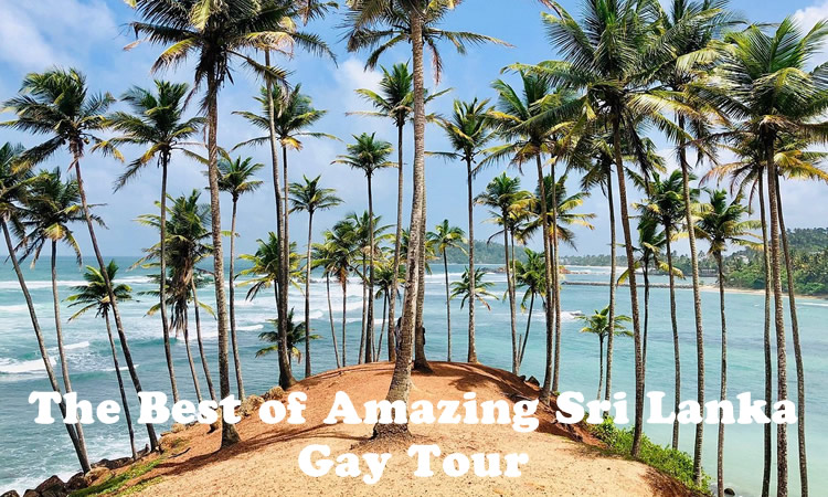 The Best of Amazing Sri Lanka Gay Tour