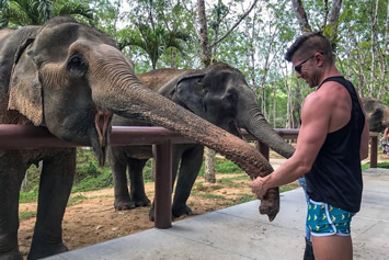 Phuket elephant sanctuary