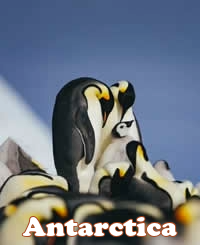 Antarctica gay cruise 2027