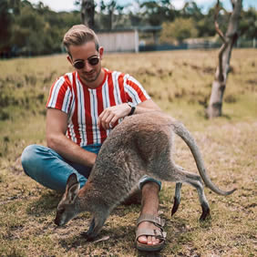 Gay Australia kangaroo