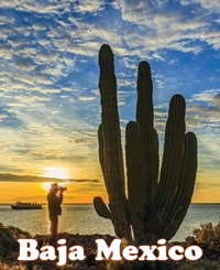 Baja Mexico gay adventure cruise