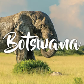 Botswana Gay Travel
