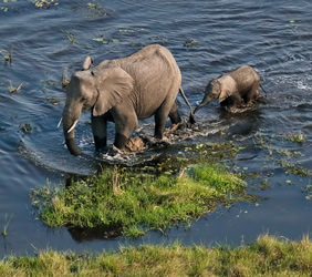 Okavango Delta gay safari