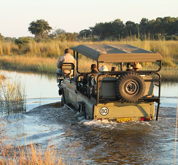 Okavango gay safari