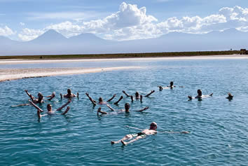 Chile gay tour Atacama salt lagoon