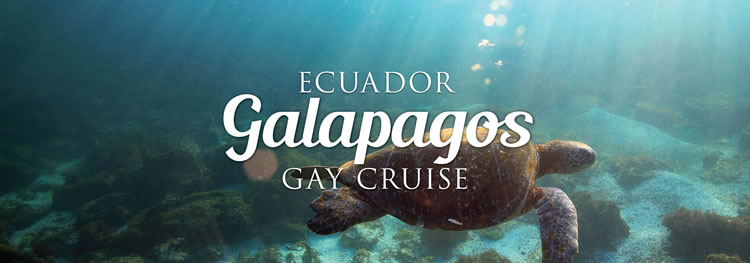 Galapagos Boutique Gay Cruise