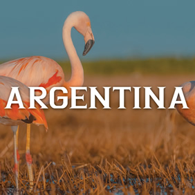 Argentina Gay Travel