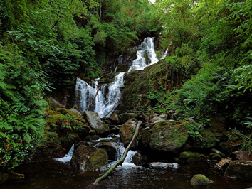 Ireland gay adventure tour - Torc Waterfall