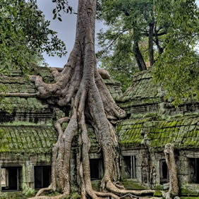 Angkor temples gay tour