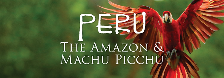 Peru Amazon & Machu Picchu gay tour