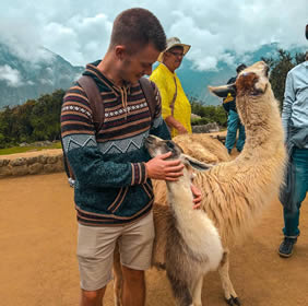 Peru gay tour llama