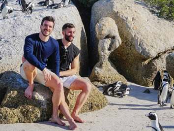 Cape Town gay tour - Boulders Beach penguins