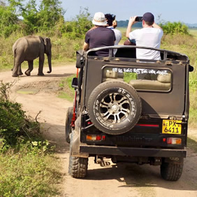 Sri Lanka elephants gay safari